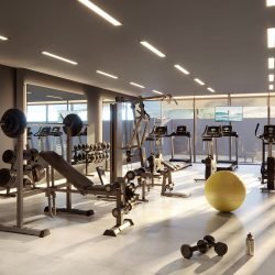 42- Alpha Vert FITNESS-TORRES-2000x1000